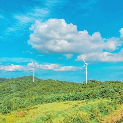 侠影惊鸿小米游戏下载